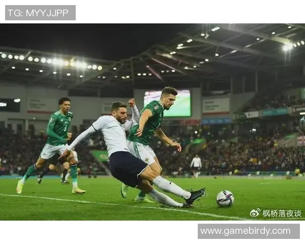 白俄罗斯与保加利亚的足球对决分析与前景展望